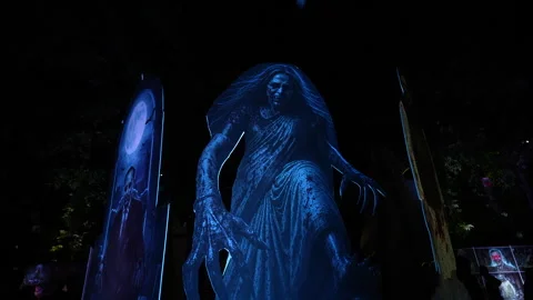 Bengal’s Demon Fair Stock Footage 342282788