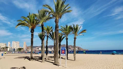 Benidorm in Spain beach with palm trees Stock Footage 218592947