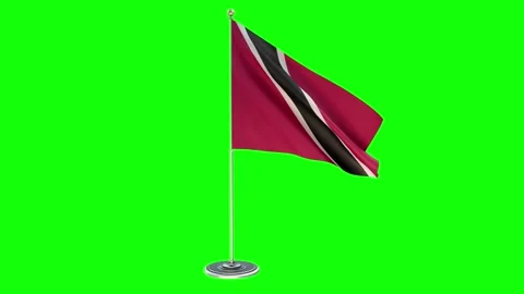 Benin  3D Looping Illustration of small flag pole on Chroma Key background Stock Footage 160804308