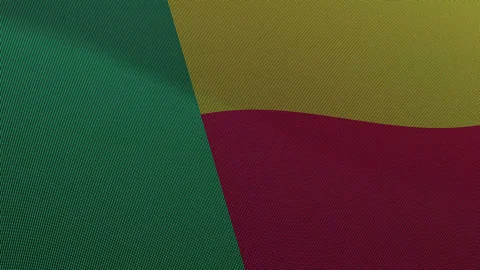 Benin Flag Digital Particle Waving Seamless Loop Animation on Black Backgroun Stock Footage 339302219