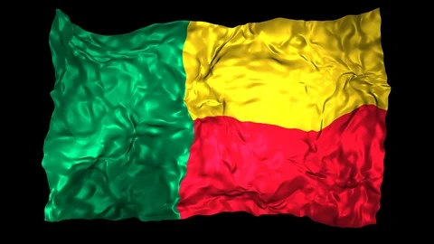 Benin flag Stock Footage 110752773