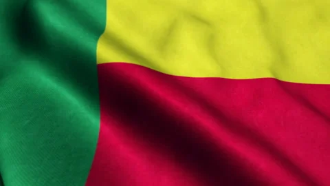 Benin Flag Seamless Looping Video stock 206154606