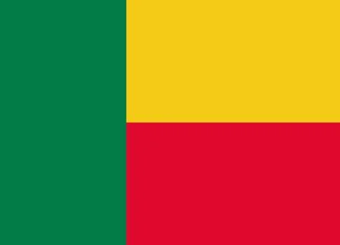 Benin flag vector イラスト素材