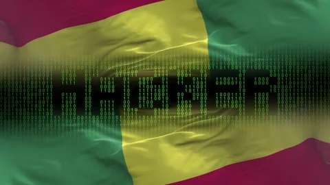 Benin flag - Waving flag on matrix binary code background Stock Footage 321419638