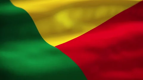 Benin flag waving Stock Footage 55495112