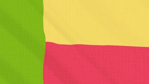 Benin flag waving in the wind. Icon in the frame. Animation loop Stock Footage 83802060