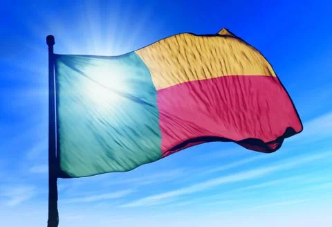 Benin flag waving on the wind Stock Illustration