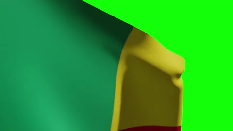 Benin Flg Close Видео 133599693