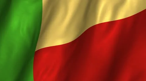 Benin Waving Flag Stock Footage 12241632