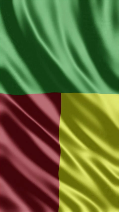 Benin waving flag Stock Footage 288004054