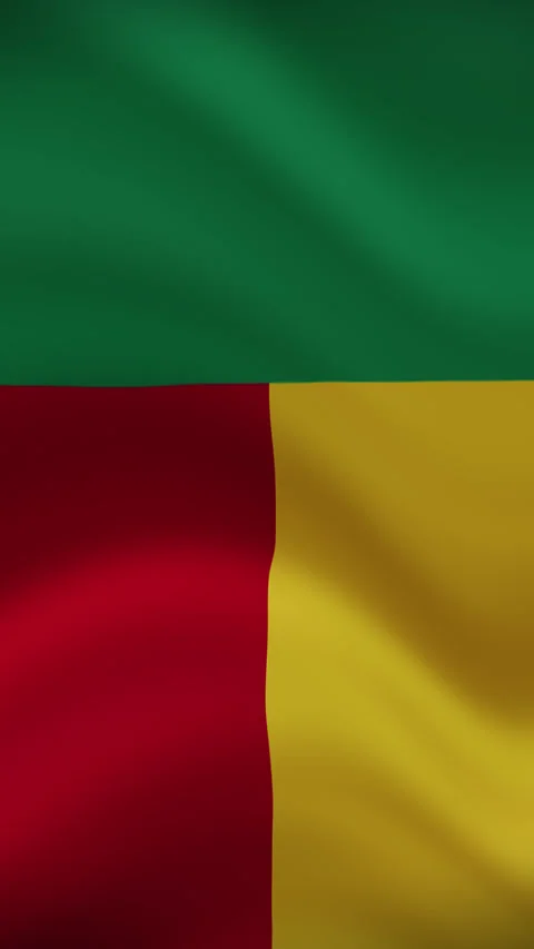 Benin Waving Flag in Vertical Orientation – Realistic Loop Animation Stock Footage 294948304