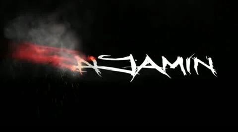 Benjamin Stock Footage 11439261