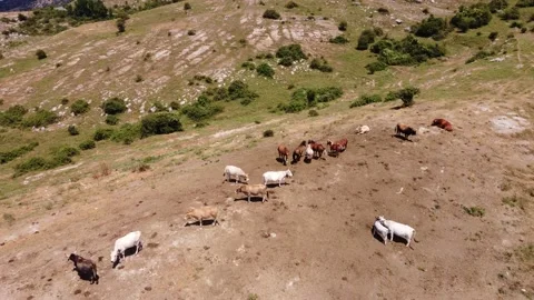 Bennistra Tower Vidéo 159162041
