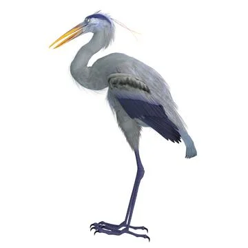 Bennu Bird Stock Illustration