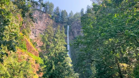 Benson Bridge is the footbridge that traverses Multnomah Creek. Scenic waterfall Stock Footage 291387120