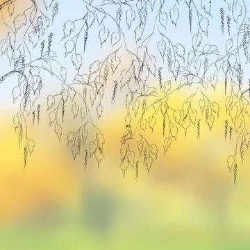 Bent birch branches on a cloudy autumn day.  EPS 8 Ilustración de archivo