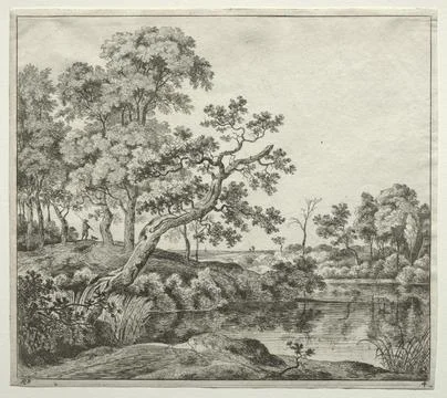 The Bent Tree. Jan Hackaert (Dutch, 1629c. 1700). Etching; Stock Illustration