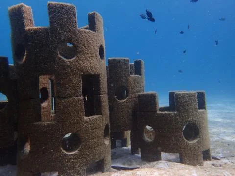 Benthic organisms at Artificial reef found in coral reef Redang island, Malaysia Stock Photos