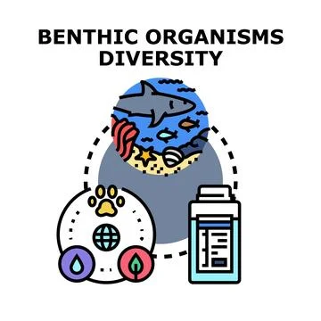 Benthic organisms diversity and aquatic ecosystem preservation concept 스톡 일러스트