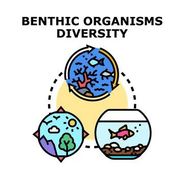 Benthic organisms diversity and ecosystem conservation concept Stock Illustration