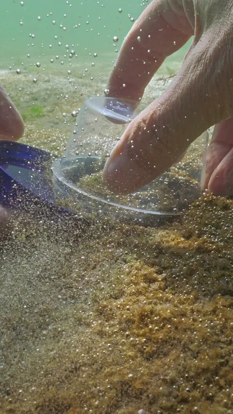 Benthic sampling single-celled algae with gas microbubbles silvered in sunshine Stock Footage 331609111