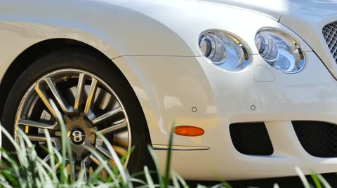 Bentley and blades of grass Stock Footage 48992202