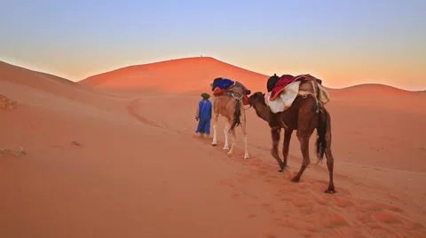 Berber leading dromedary, train through Sahara Desert, Stock Footage 63240226