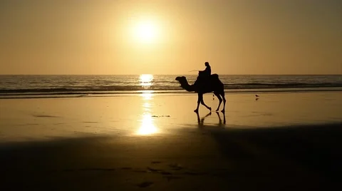 A berber riding a camel during the sunset Stock Footage 44782616