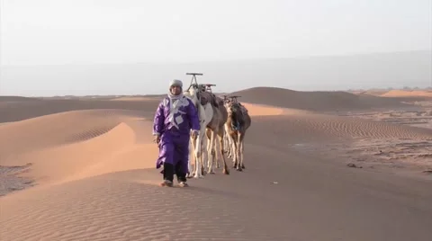 A berber walking on a sand dune with his caravan of camels Stock Footage 49443734