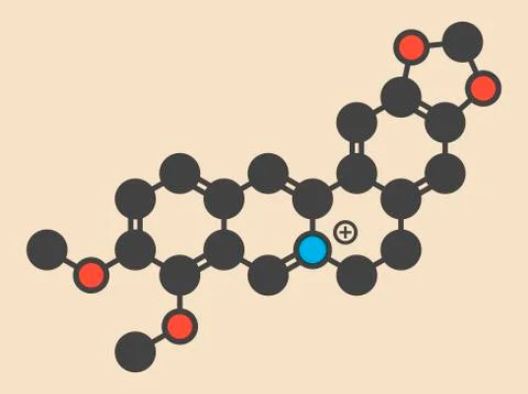 Berberine alkaloid molecule Stock Illustration