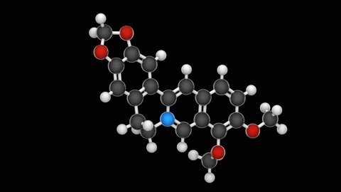 Berberine. Seamless loop. RGB + Alpha (Transparent) channel. Video stock 154418033