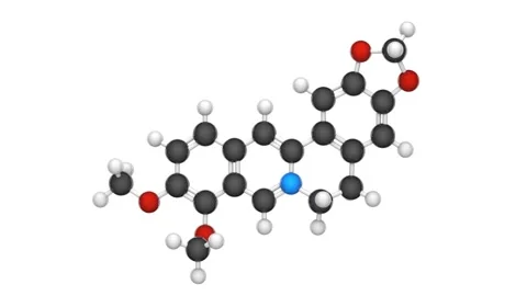 Berberine. Seamless loop. White background Stock Footage 154418051