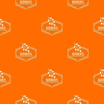 Berberis pattern vector orange Stock Illustration