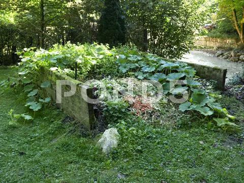 Berchtesgaden National Park Almbach klamm Gorge valley compost Stock Photos