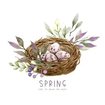Berd nest with eggs, flowers and greenery Stock Illustration