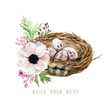 Berd nest with eggs, flowers and greenery Stock Illustration