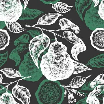 Bergamot branch seamless pattern. Hand drawn vector fruit illustration on cha Stock Illustration