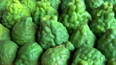 Bergamot fruit 스톡 동영상 297555272