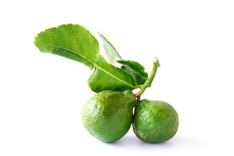 Bergamot fruit on a white background Stock Photos