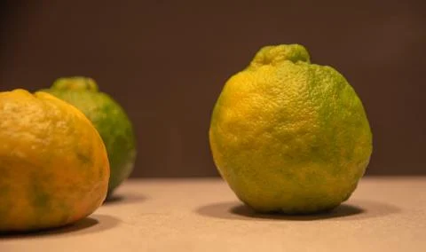 Bergamot fruits (Citrus sp.) On lighted surface and dark background Stock Photos