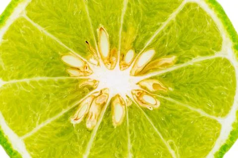 Bergamot isolated Stock Photos