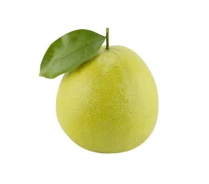 Bergamot oranges Stock Photos
