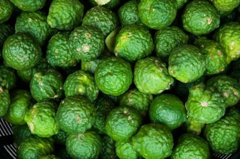 Bergamot Stock Photos