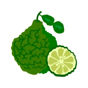 Bergamot with slice flat design, Bergamot isolated on white background. Stock Illustration