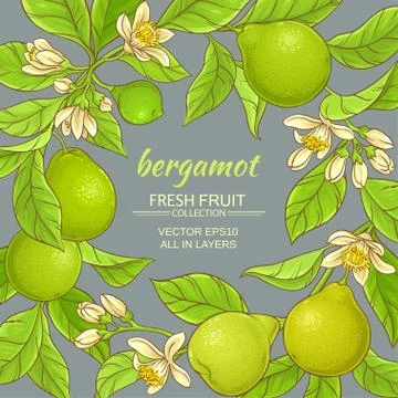Bergamot vector frame Illustrazione stock