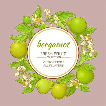 Bergamot vector frame Stock Illustration