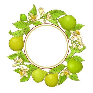 Bergamot  vector frame Illustrazione stock