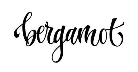 Bergamot - vector hand drawn calligraphy style lettering word. Stock Illustration