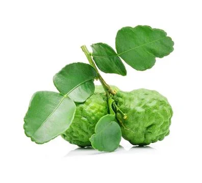 Bergamot on white background. Stock-Fotos