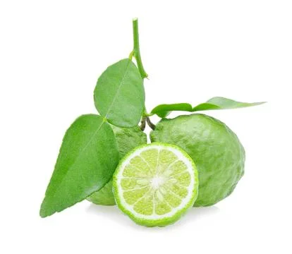 Bergamot on white Foto stock